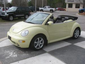 beetle