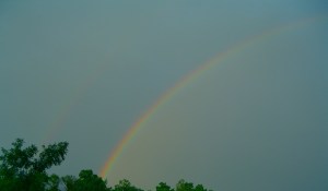 rainbow