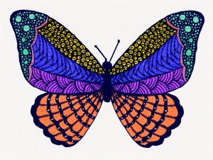 butterfly with designs on wings colored bright