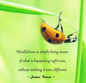 mindfulness quote