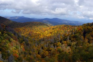 Everything Changes - photography by w. holcombe