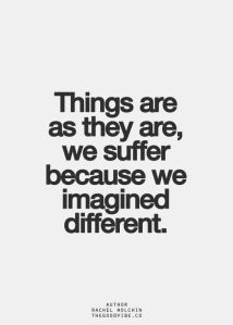 -Rachel Wolchin thegoodvibe.co 