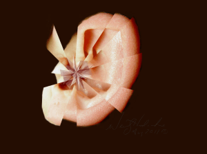 Fractured Ear manipulated photo -  by w. holcombe