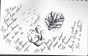 journal entry w. holcombe