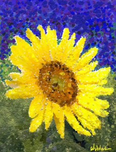 by w. holcombe do not copy without permission