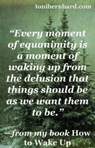 toni bernhard equanimity quote
