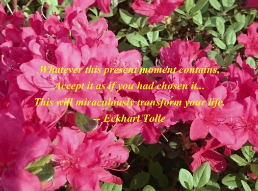 Eckhart Tolle Quote