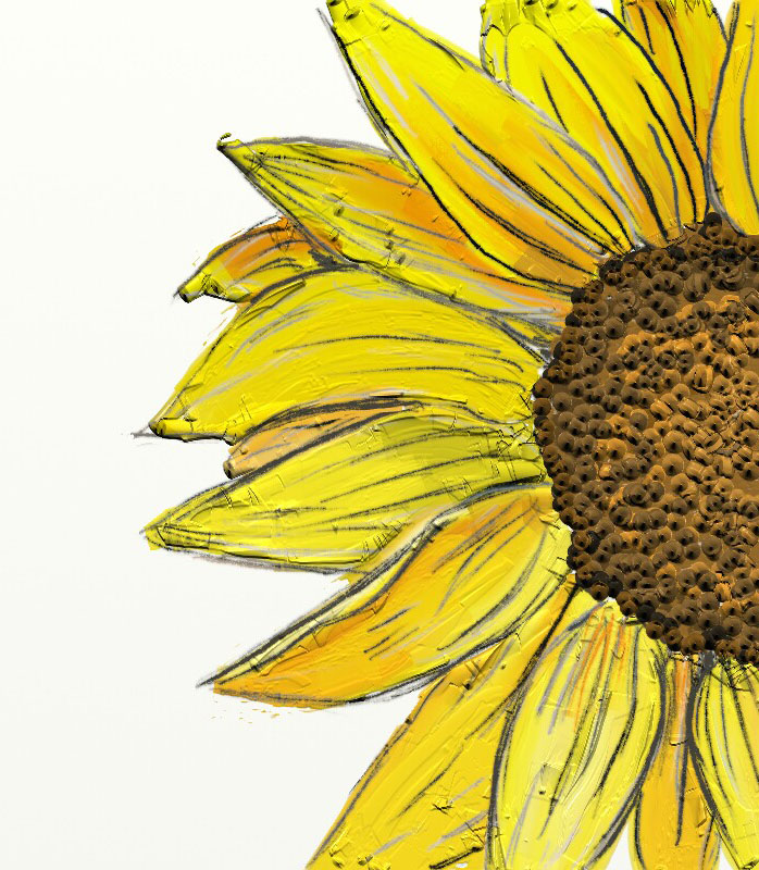 Sunflower_001