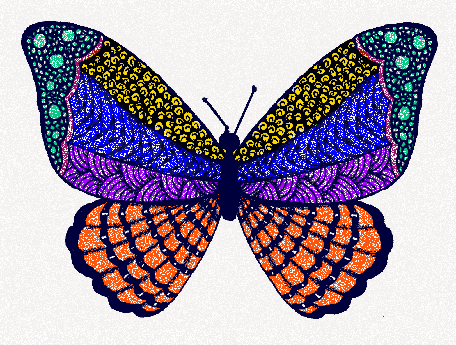 butterfly-color