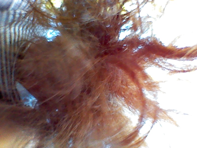 IMG_20160912_145828115 - Copy