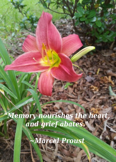 day lilly with quote