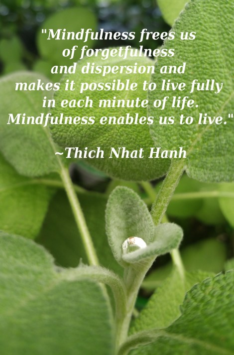 leaf with water droplet quote